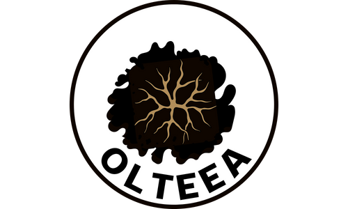 Olteea